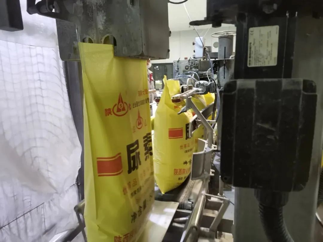 1675219509895651.jpeg 1675219509895651.jpeg