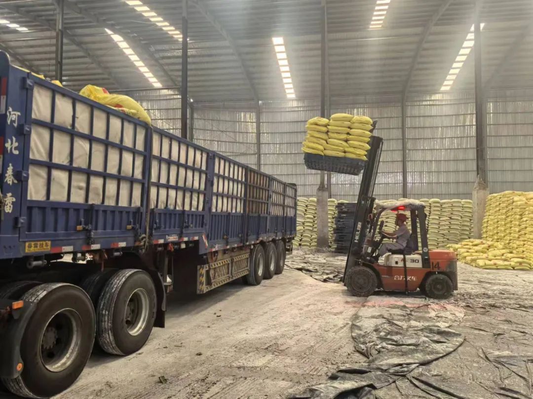 1718769855312412.jpeg 1718769855312412.jpeg