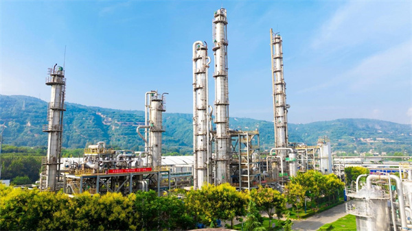 1761557083518269.jpeg 29_20251027143142349.jpg